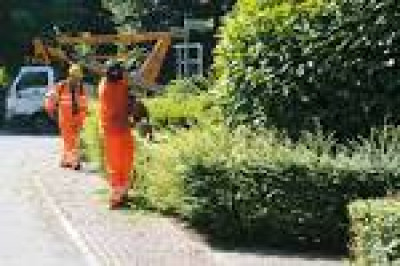 Ordinanza di manutenzione vegetazione lungo le strade Provinciali. -