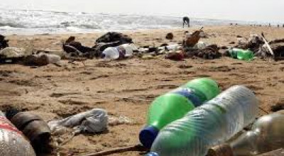 Disposizioni per la minimizzazione dei rifiuti in plastica sul territorio com...