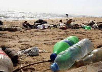Disposizioni per la minimizzazione dei rifiuti in plastica sul territorio com...